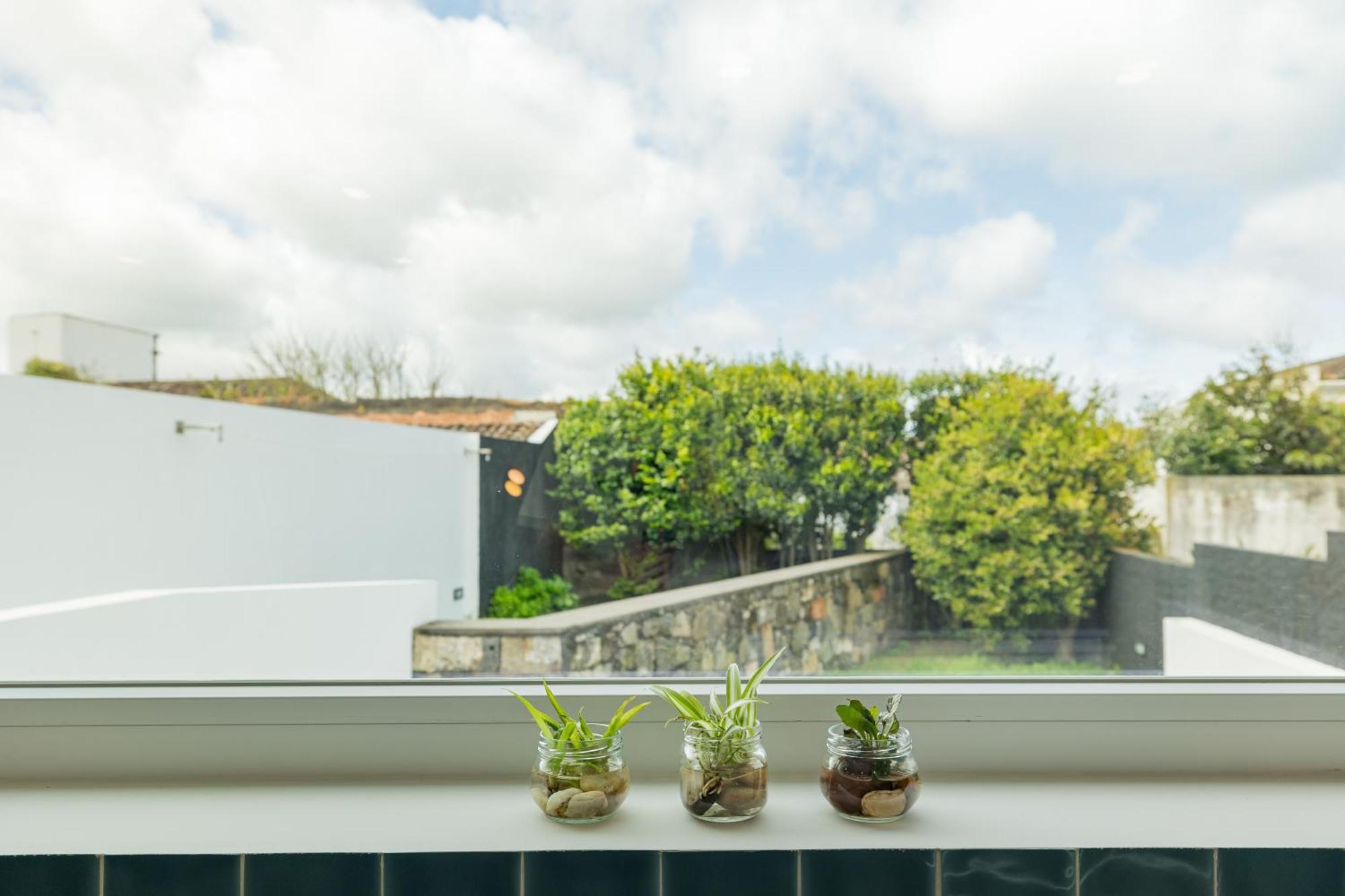 Xª Deluxe Apartments Ribeira Grande Buitenkant foto